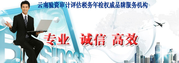專(zhuān)業(yè)審計(jì)驗(yàn)資評(píng)估平臺(tái)