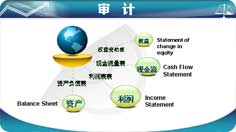 ???????????報(bào)表審計(jì) 專(zhuān)項(xiàng)審計(jì)